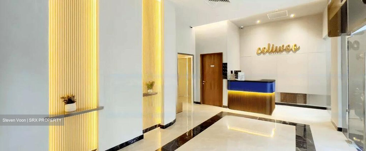 Mount Elizabeth Link (D9), Apartment #496128371